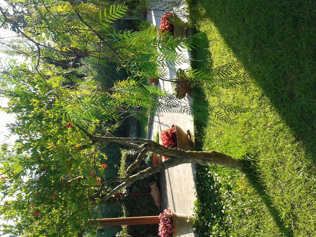 Villa Ambrosia San Marco di Castellabate Exterior foto